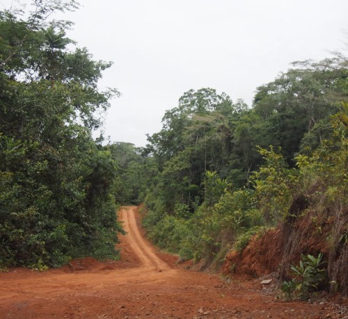 Dirt Road
