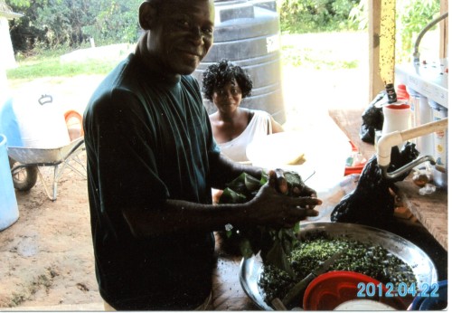 A man chopping up the leaves of sweet potatoes.