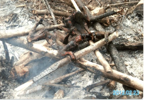 Bush meat being barbecued.