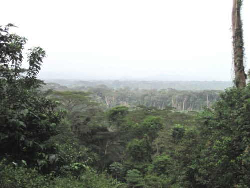 The beautiful scenery seen from the top of the hill.