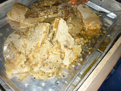 Harvested honeycombs