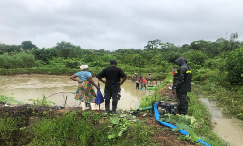 Draining the pond