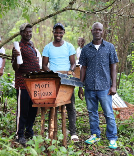 Hive installation photo