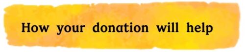 How your donation will help