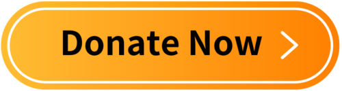 donate now