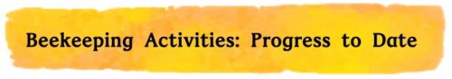 Beekeeping Activities Progress to Date