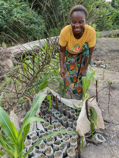 artisanal diamond miner growing seedlings